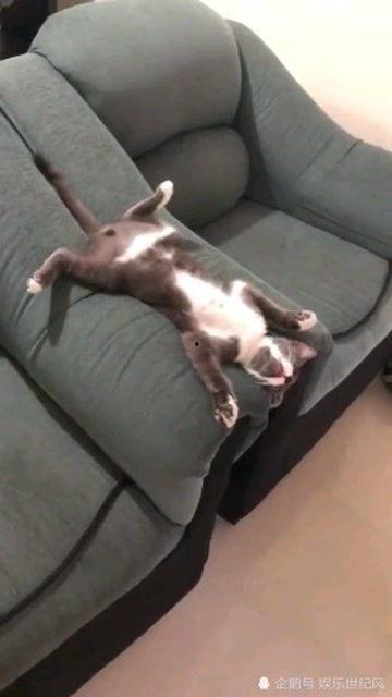 仰八叉图片,仰八叉姿态下的生活百态